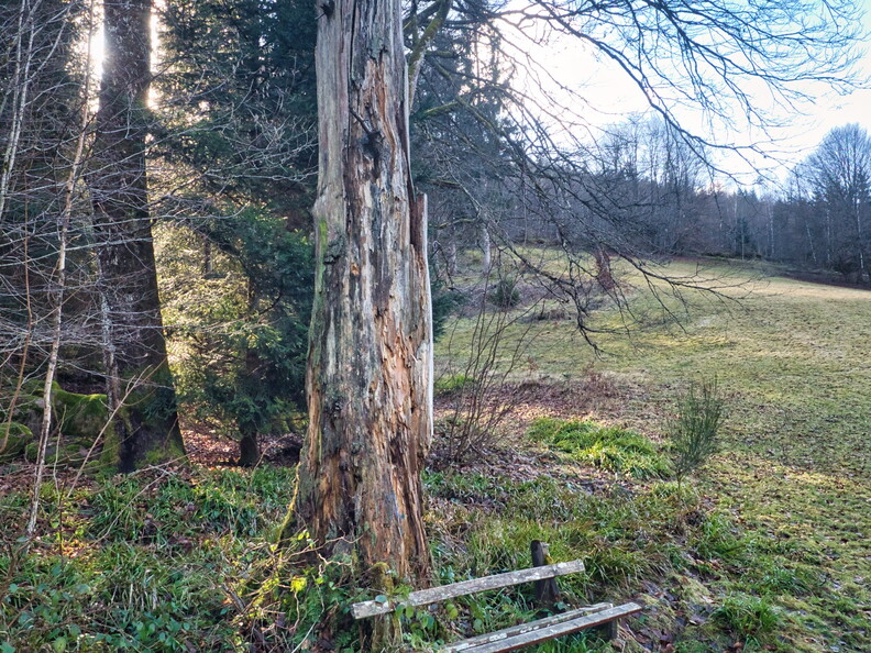 20220205202150-61458f93